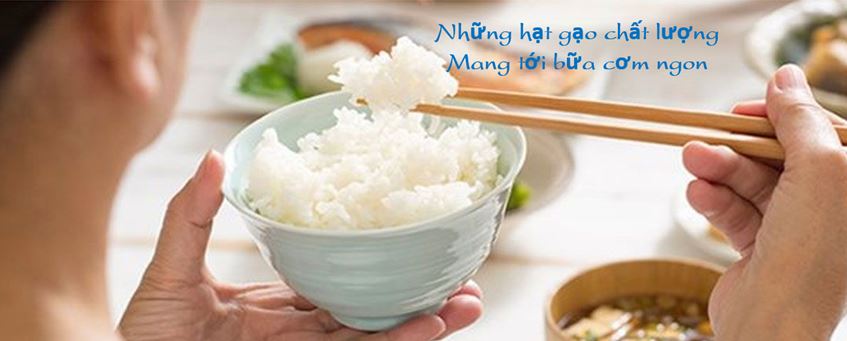 Máy dò kim loại trong ngành gạo