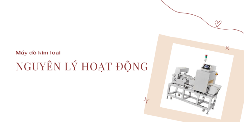 Nguyên lý hoạt động máy dò kim loại