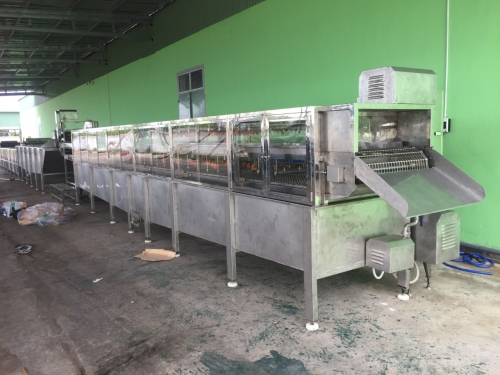 Hệ thống rửa lá nha đam