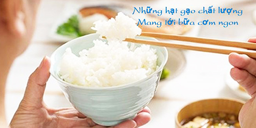 Máy dò kim loại trong ngành gạo
