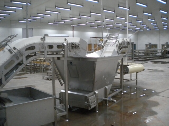 Dây chuyền sản xuất cá ngừ đóng hộp